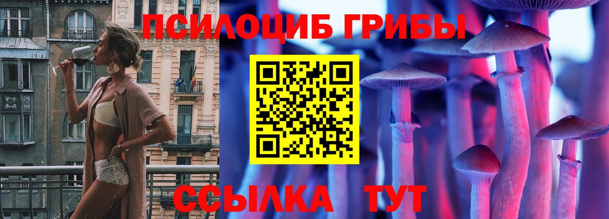 Псилоцибиновые грибы Psilocybine cubensis  Вход с VPN  Галлюциногенные грибы MAGIC MUSHROOMS  Ялта 